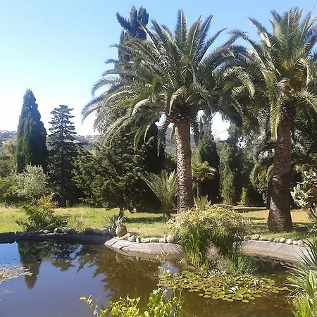 La Solana Ferienhaus *