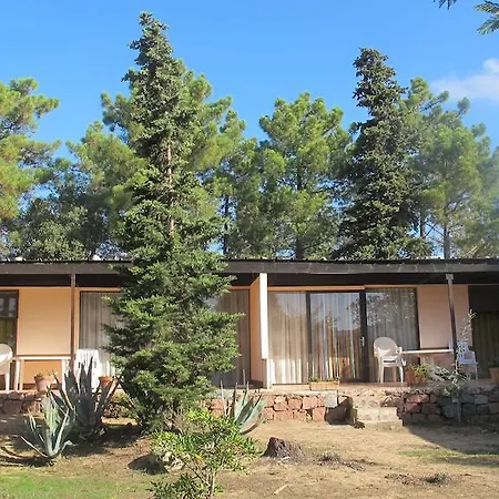 La Solana