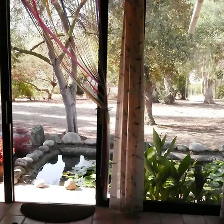 La Solana